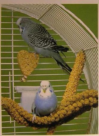 Хорст Бильфельд - Волнистые попугаи