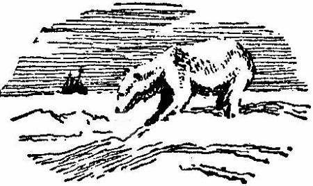 Константин Бадигин - Три зимовки во льдах Арктики