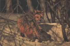 Сергей Алексеев - Ох, охота!