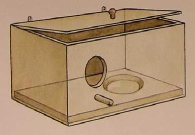 Хорст Бильфельд - Волнистые попугаи