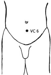 Ши Децянь, Алексей Маслов - Гимнастика Бодхидхармы