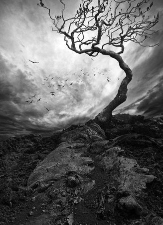 Владимир Головин - По ту сторону смерти. Ответы на вопросы