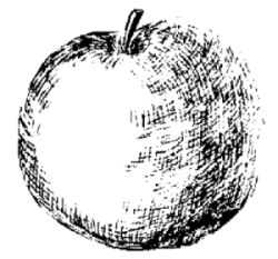 Марина Куропаткина - Американский кокер-спаниель