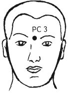 Ши Децянь, Алексей Маслов - Гимнастика Бодхидхармы