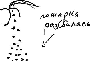 Александр Покровский - Арабески