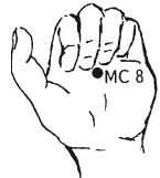 Ши Децянь, Алексей Маслов - Гимнастика Бодхидхармы