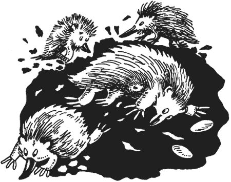 Милена Сигаева - Странности животной сексуальности. Как они делают это...?