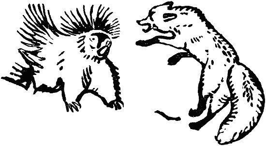 Чарлз Робертс - В долинах Рингваака [Рыжий Лис]