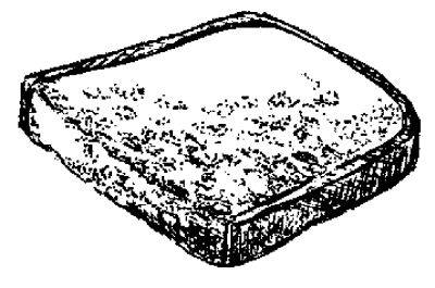 Марина Куропаткина - Американский кокер-спаниель