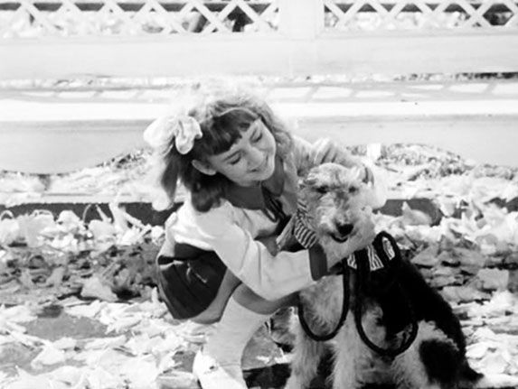 Наталья Нусинова - Приключения Джерика