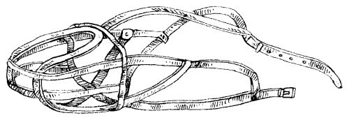 Екатерина Константинова - Русский охотничий спаниель