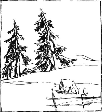 Андрей Жариков - Крушение "Кантокуэна"