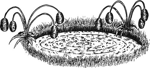 Вальтер Моэрс - 13 1/2 жизней капитана по имени Синий Медведь