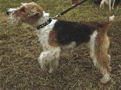 Сергей Алексеев - Ох, охота!