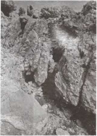 Джеймс Вандеркам - Свитки Мертвого моря. Долгий путь к разгадке