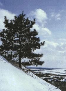 Сергей Алексеев - Ох, охота!