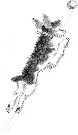 Наталья Нусинова - Приключения Джерика