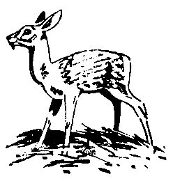 Сергей Кондратьев - Необычные случаи на охоте и рыбной ловле