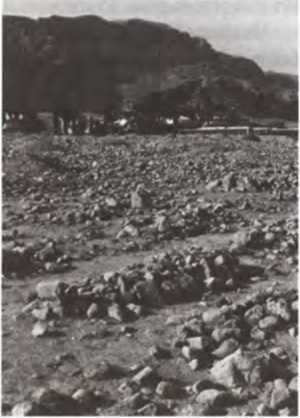 Джеймс Вандеркам - Свитки Мертвого моря. Долгий путь к разгадке