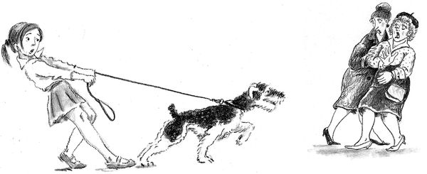 Наталья Нусинова - Приключения Джерика