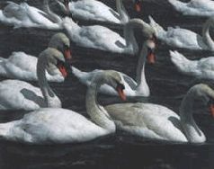 Сергей Алексеев - Ох, охота!