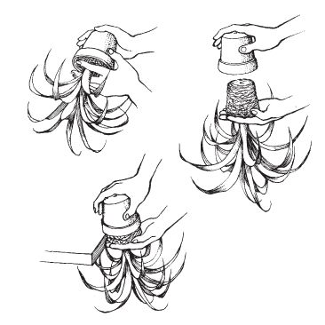 Татьяна Дорошенко - Декоративноцветущие растения