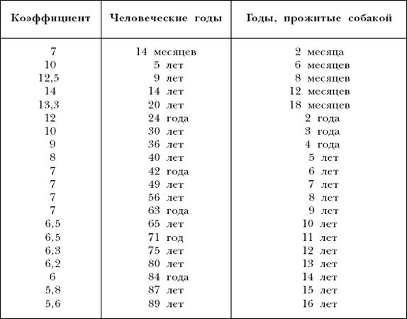Марина Куропаткина - Американский кокер-спаниель