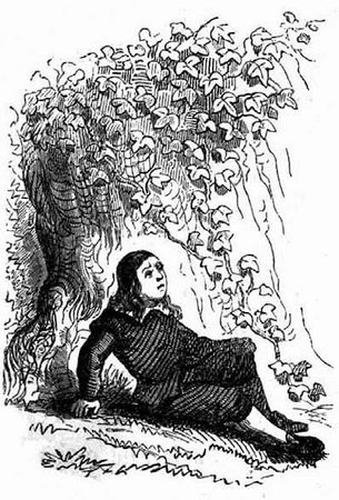 Гасьен Куртиль де Сандра - Мемуары графа де Рошфора