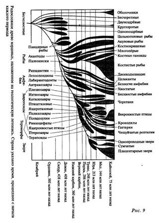 Александр Белов - Тайная родословная человека. Загадка превращения людей в животных