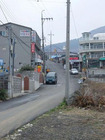 Андрей Кощиенко - Чужая шкурка [с иллюстрациями]