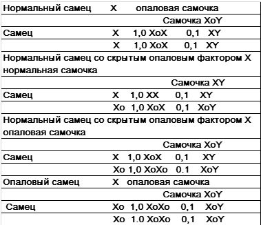 Хорст Бильфельд - Волнистые попугаи