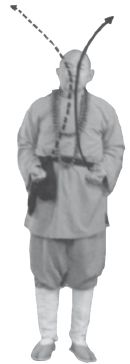 Ши Децянь, Алексей Маслов - Гимнастика Бодхидхармы