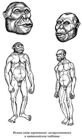 Александр Белов - Тайная родословная человека. Загадка превращения людей в животных