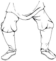 Ши Децянь, Алексей Маслов - Гимнастика Бодхидхармы