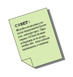 Хорст Бильфельд - Волнистые попугаи