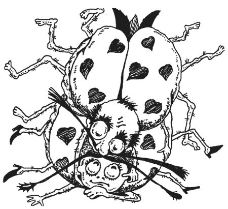 Милена Сигаева - Странности животной сексуальности. Как они делают это...?