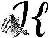 Кати в Италии