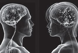 Владимир Журавлев - Чего хотят женщины