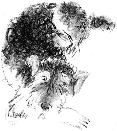 Наталья Нусинова - Приключения Джерика