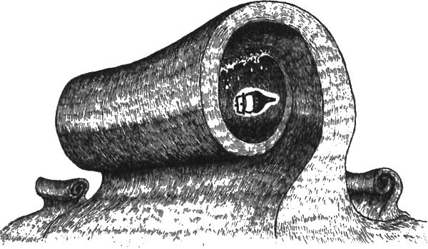 Вальтер Моэрс - 13 1/2 жизней капитана по имени Синий Медведь