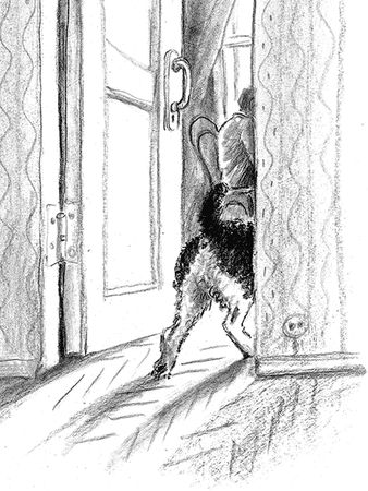 Наталья Нусинова - Приключения Джерика