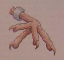 Хорст Бильфельд - Волнистые попугаи