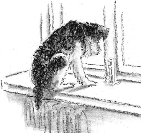 Наталья Нусинова - Приключения Джерика