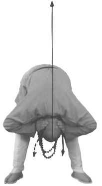 Ши Децянь, Алексей Маслов - Гимнастика Бодхидхармы