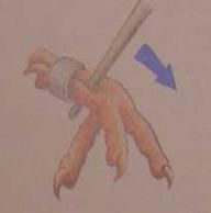 Хорст Бильфельд - Волнистые попугаи