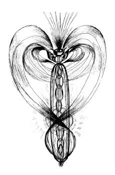 Роман Доля - Медитации на каждый день. Раскрытие внутренних способностей