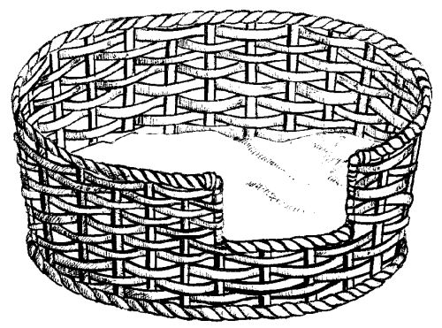 Марина Куропаткина - Американский кокер-спаниель