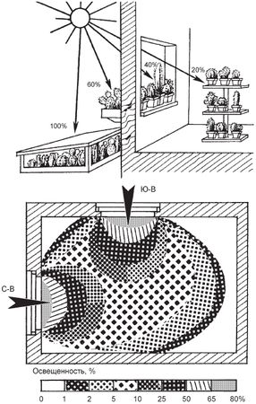Татьяна Дорошенко - Декоративноцветущие растения
