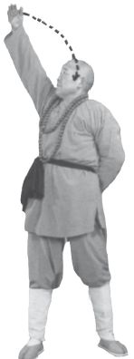 Ши Децянь, Алексей Маслов - Гимнастика Бодхидхармы