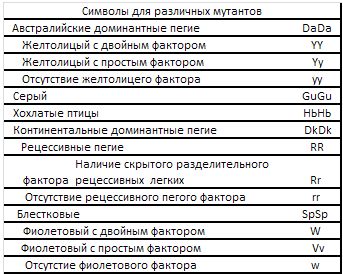 Хорст Бильфельд - Волнистые попугаи